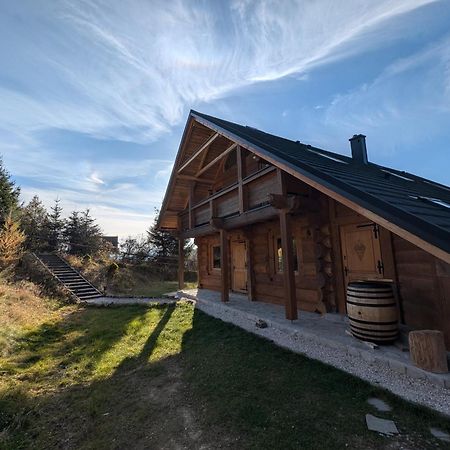 Villa Beskid Milówka Eksteriør billede